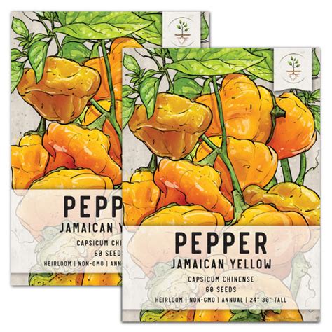 Yellow Jamaican Pepper Seed For Planting Capsicum Chinense Seed Need Seed Needs Llc