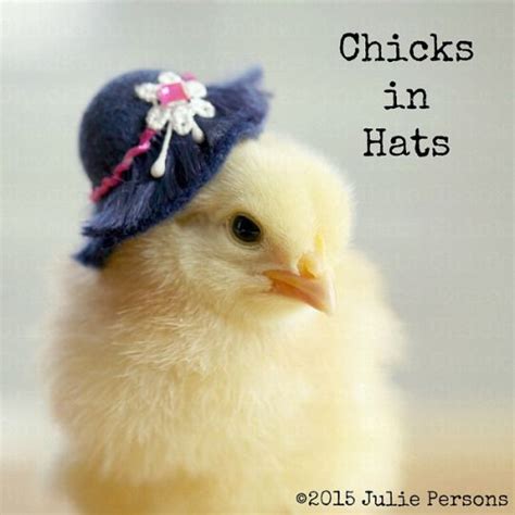 Pin On Chicks In Hats