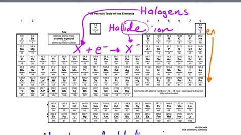 Group 7 Halogens Periodic Table Periodic Table Timeline