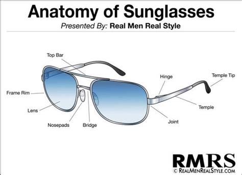 Infografía Anatomía De Las Gafas O Lentes De Sol Face Shape