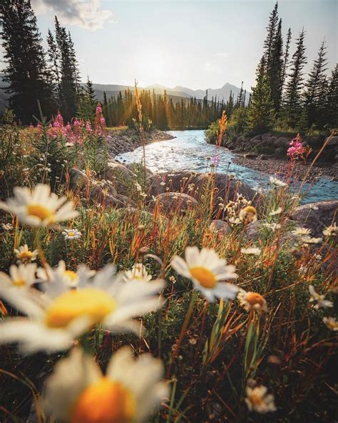 Banff Alberta Canada By Marti Gutfreund Pretty Landscapes Nature