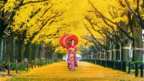 10 Gorgeous Autumn Foliage Spots In And Near Tokyo Savvy Tokyo