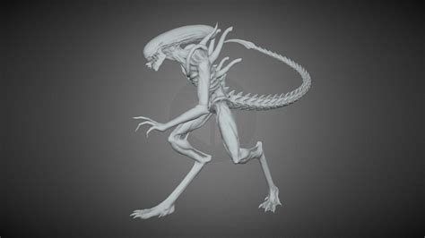 Alien Xenomorph 3d Model By Damasquinoinox 4ec9034 Sketchfab