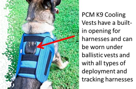 K9 Cooling Vests Ppak9 Project Paws Alive