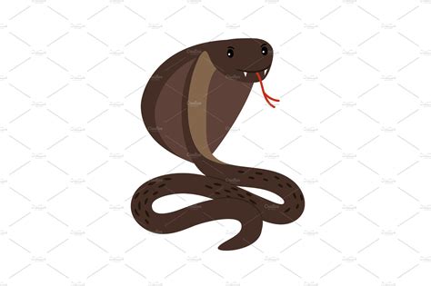 Cobra Brown Poisonous Cobra Snake Attack Position Vector Illustration