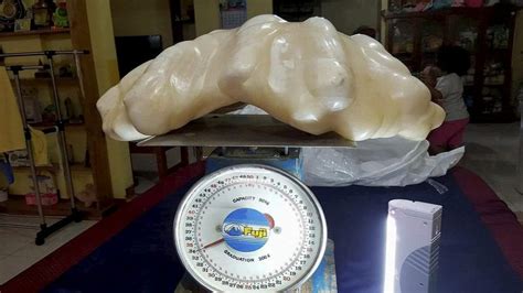 9 Largest Pearls Ever Found