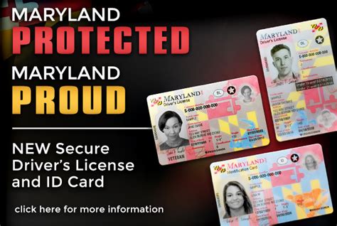 Salisbury News Introducing The New Maryland Secure Drivers Licenses