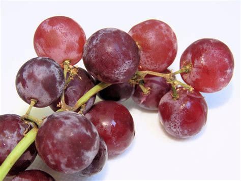 What are they and how many sugar molecules do they have? Red Seedless Grapes Nutrition Facts - Eat This Much
