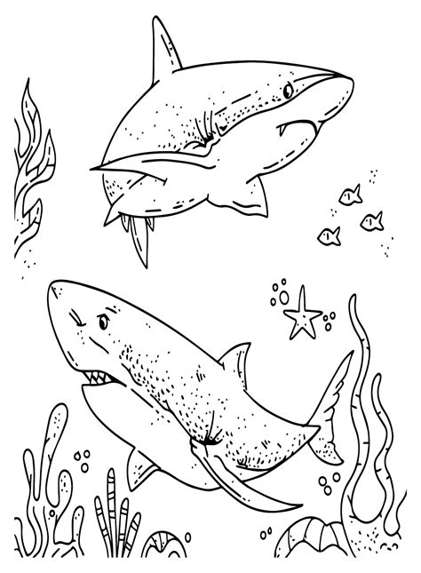 Great White Shark For Kids Coloring Page Free Printable Coloring Pages