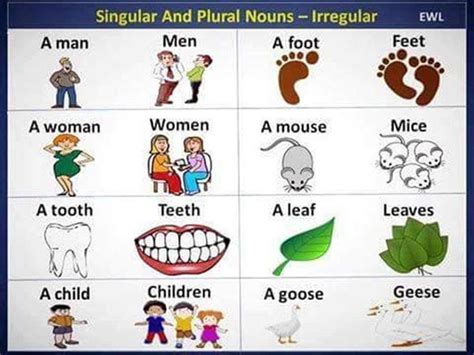 The Most Common Irregular Plural Nouns In English Esl Buzz English