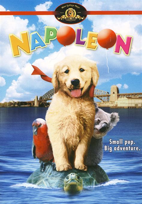Napoleon On Dvd With Jamie Croft Movie