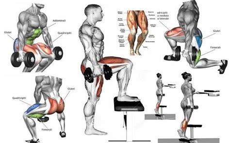 Will 4 Exercises Build And Strengthen Glutes And
