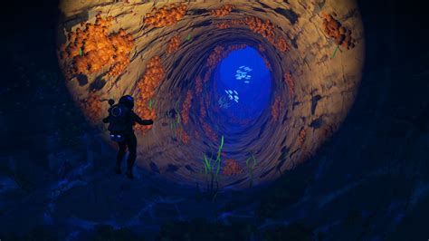 Underwater Caves Are Awesome Rnomansskythegame