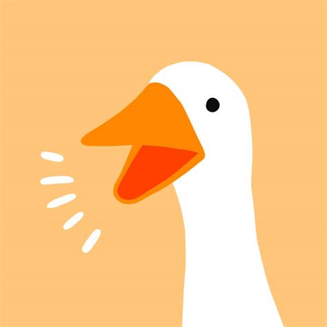 16 Duck Pfp Wallpapers And Backgrounds For Free