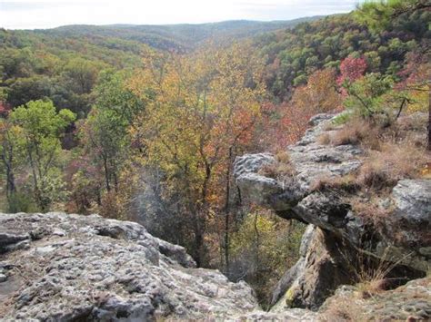 Celebrating Autumn At Kings Bluff Picture Of Ozark