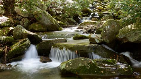 Great Smoky Mountains National Park Vacations 2017