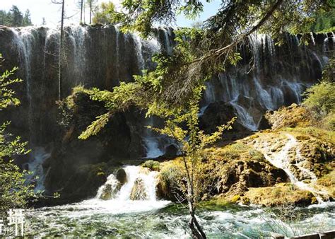 Pearl Shoal Waterfall Magnificent Attraction In Jiuzhaigou Explore