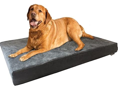 Top 10 Best Orthopedic Dog Beds Reviews In 2021