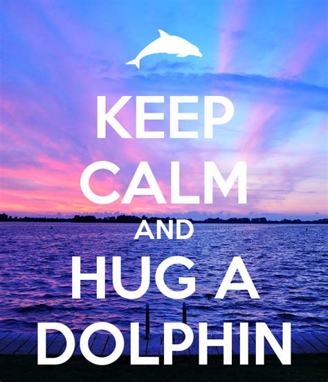 Keep Calm And Hug A Dolphin Poster Keep Calm Explore Hug