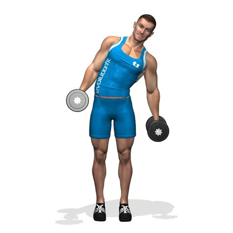 Superficial muscles of the torso. DUMBBELL SIDE BEND | Esercizi con manubri, Esercizi per la ...