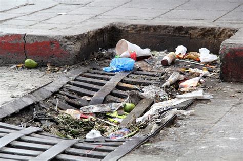 C Mo Afecta La Basura Que Se Tira En La Calle En El Transito