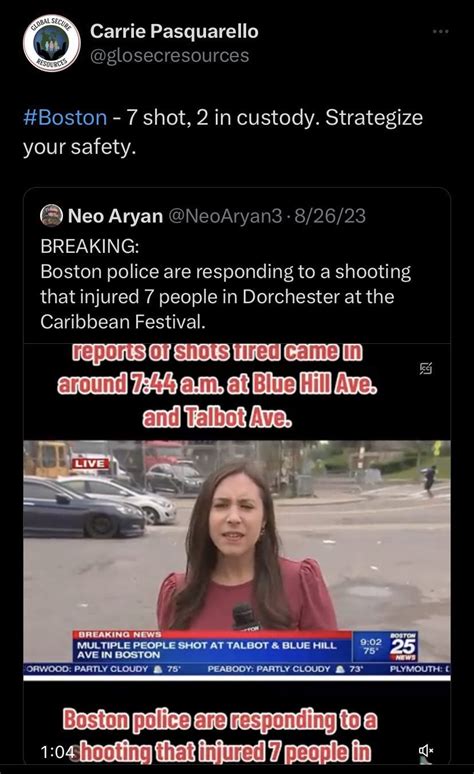 City Council Candidate Carrie Pasquarello Retweets Literal Neo Nazis