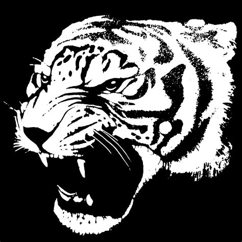 Black And White Tiger Png