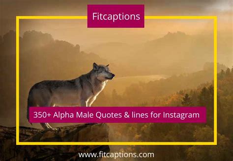 Alpha Male Captions 350 Best Alpha Male Quotes And Lines For Instagram