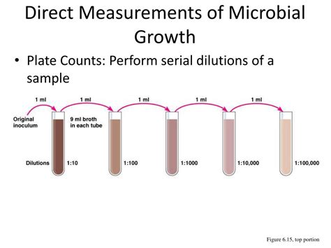 Direct Methods Of Measuring Microbial Growth Hot Sex Picture