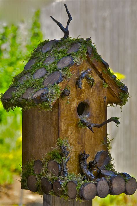 How To Build A Bird House Just Imagine Daily Dose Of Creativity