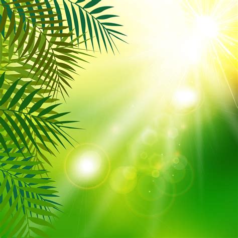 Summer Fresh Green Leaves With Sunlight On Natural Background 547632