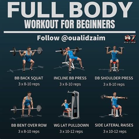 Total Body Workout Routine And How To Set Up Your Workout For Optimal