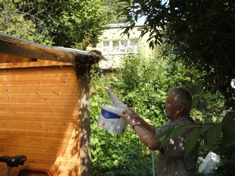 Wäre da nicht die angst vor stichen und den unangenehmen folgen, könntet ihr eigentlich. Bienenschwarm im Garten - Rettung eines Bienenvolks