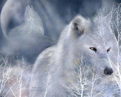 Timeline Photos ღღ Beautiful Pictures ღღ White Wolf Spirit Animal