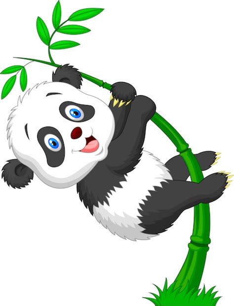 Premium Vector Cute Funny Baby Panda Hanging On The Bamboo