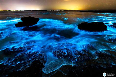 Stunning Bioluminescence Display In Jervis Bay