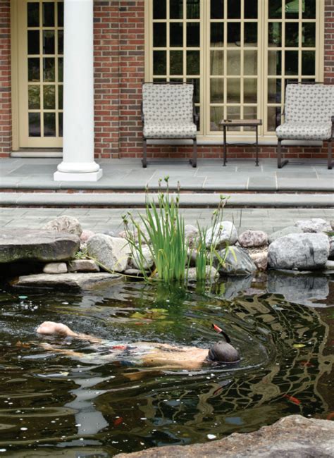 Imagine stepping outside your home into your very own oasis. Pond or Pool: The fierce and divisive swim pond debate ...