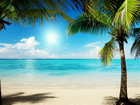 Caribbean Beach Desktop Wallpapers Top Free Caribbean Beach Desktop