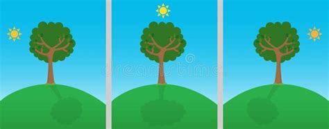 Sun And Shadows Of A Tree During The Day Stock Vector Illustration Of