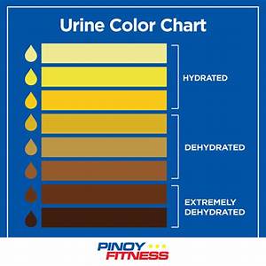 Dehydration Urine Color Chart Pdf Images And Photos Finder