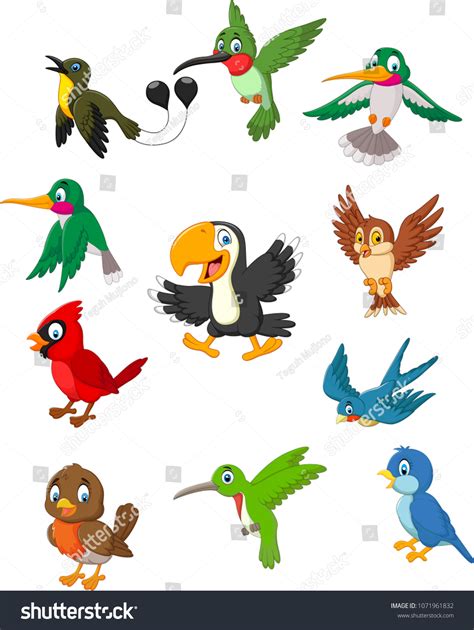 3549 Cardinal Bird Cartoon Images Stock Photos And Vectors Shutterstock
