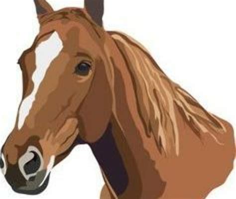 Download High Quality Horse Clipart Realistic Transparent Png Images