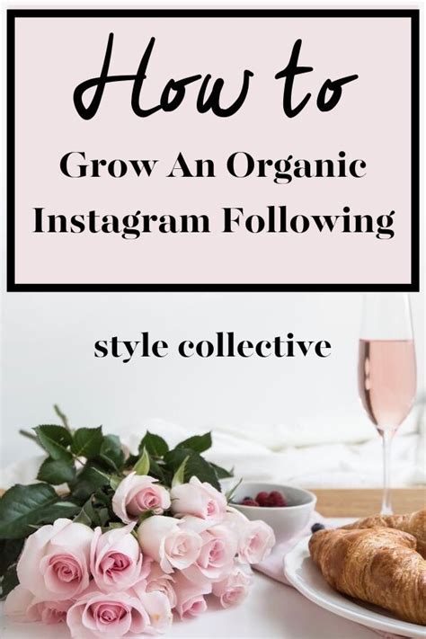 Tips For Growing An Organic Instagram Following Excerpt From The Blog