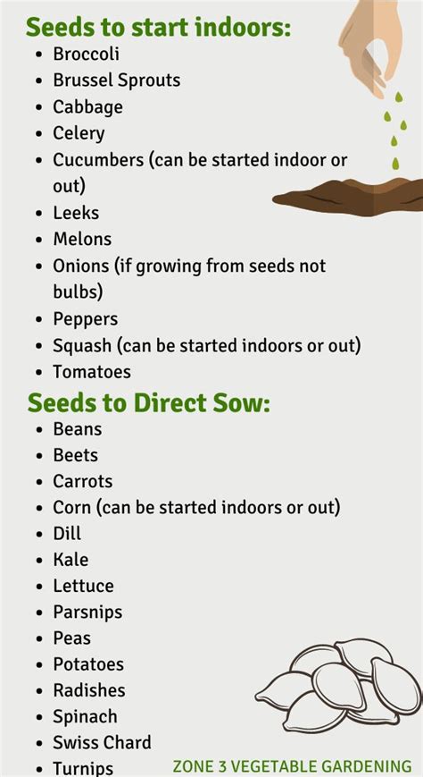 What Seeds To Start Indoors And What Seeds To Direct Sow Starting