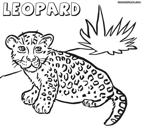 Leopard Coloring Pages Coloring Pages To Download And Print