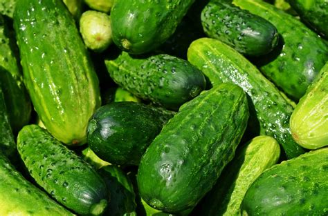 Women Are Being Warned Not To Use Cucumber To Clean Vaginas Ibtimes India