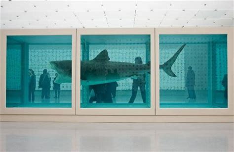 Damien Hirsts Dead Butterflies Stirs Anger