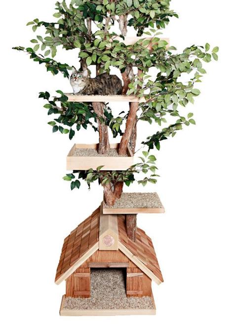 Best cat condos & cat towers for large cats 2019. Mature large Cat Tree House