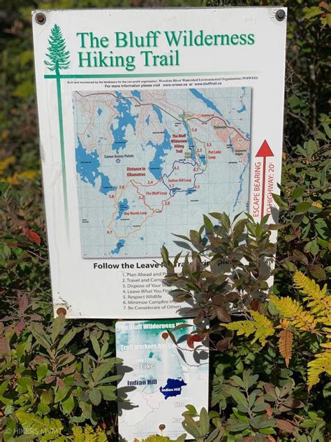 The Bluff Wilderness Area Trails A Complete Guide