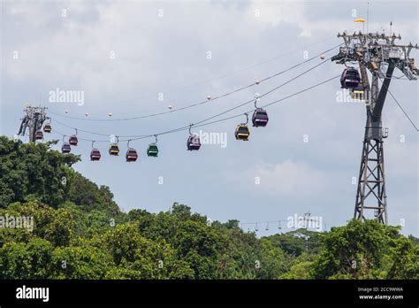 Cable Cars On Sentosa Island Floating Through The Lush Greenery At The